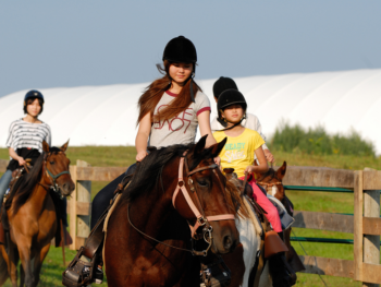 Trail Ride Horseback Trail Ride