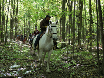 Group ride Horseback Trail Ride