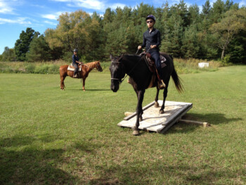 Obstacle course demo Horseback Riding Lesson